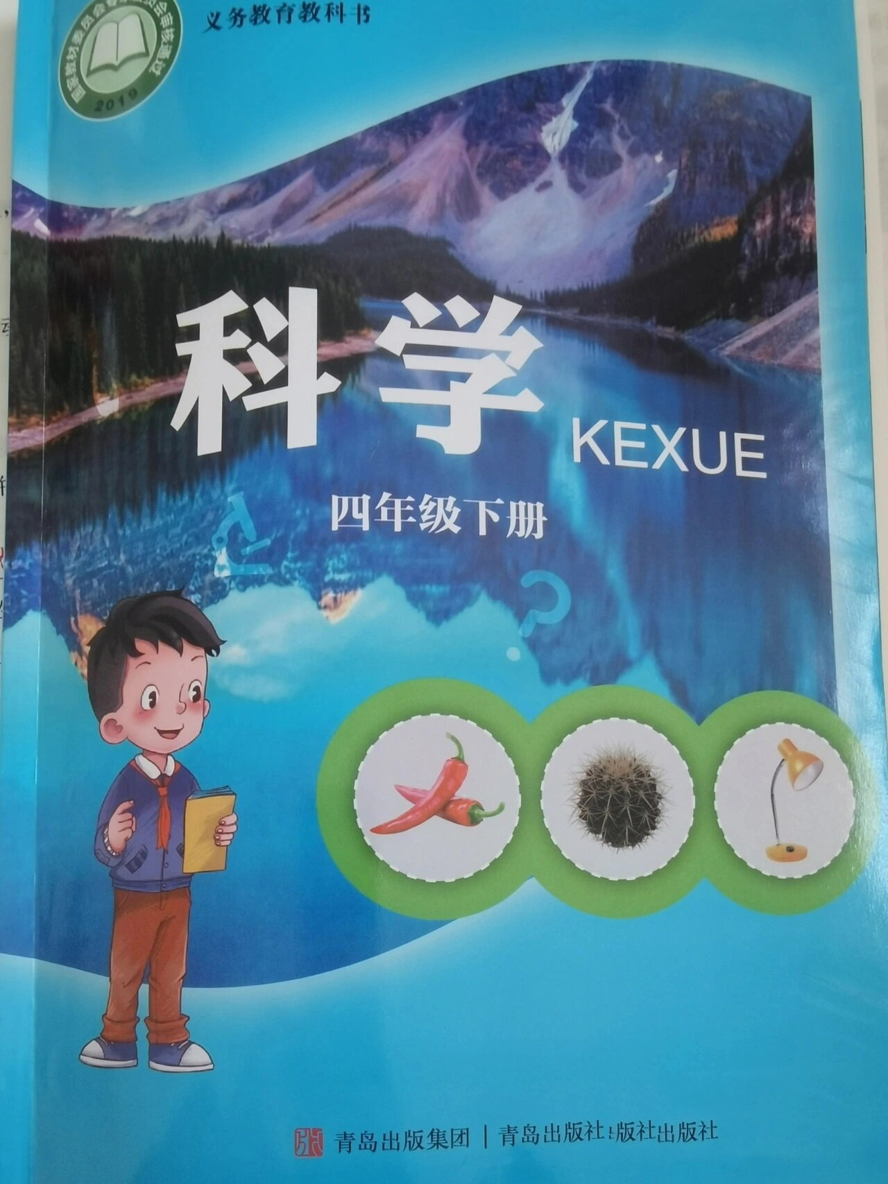 四下|科学📖 课本知识点4.5.6课 青岛出版