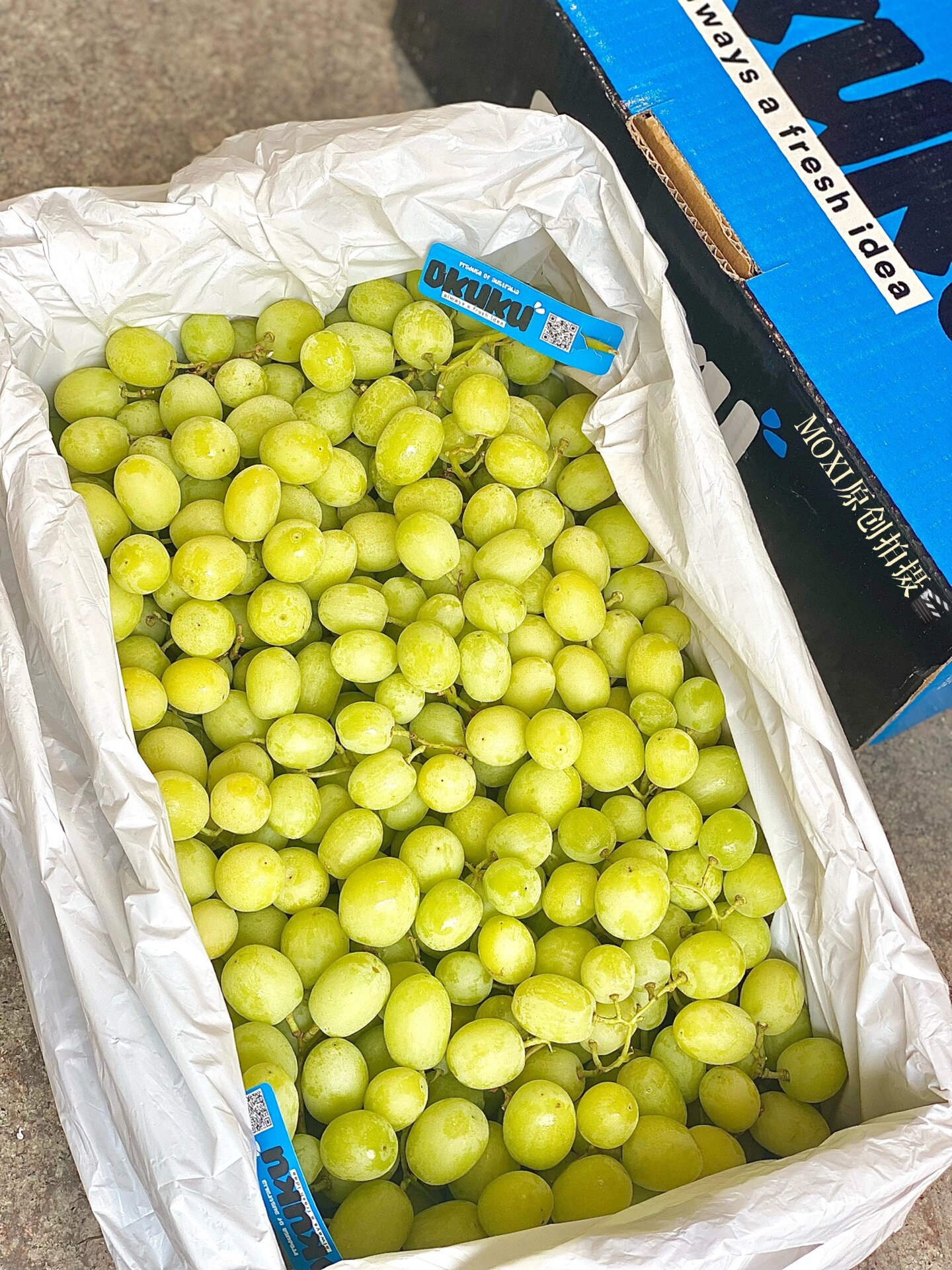 甜地球91『秋天酥95』青提91