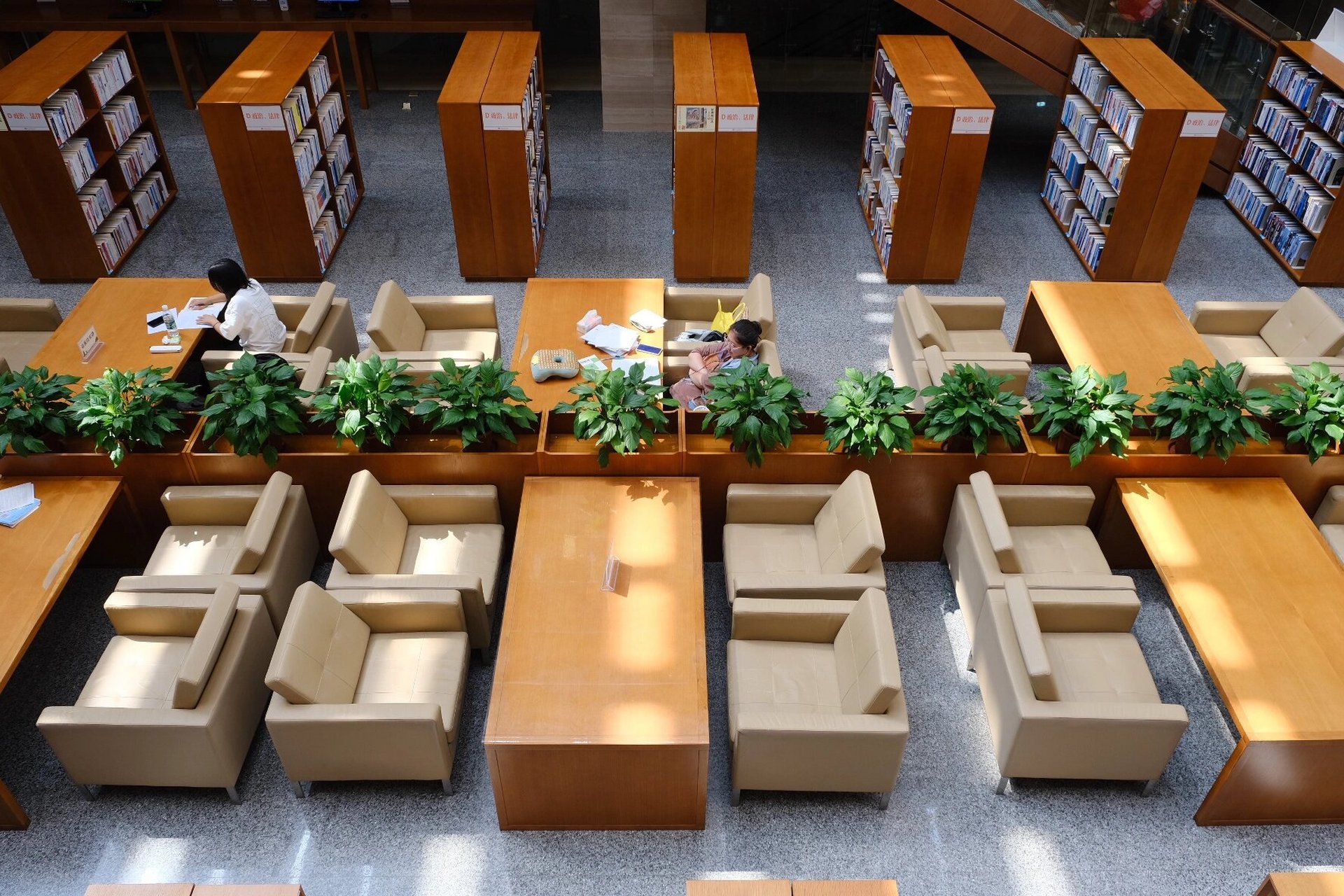 桂林图书馆(临桂馆) 宽敞明亮透光极好 很多学霸坐着觉得不好意思去