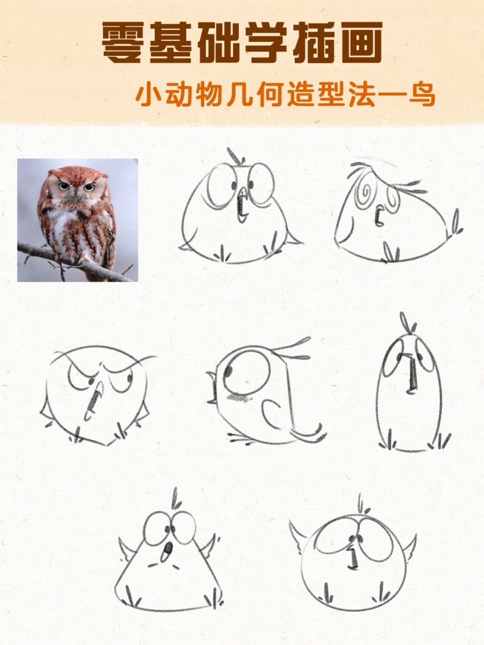 动物简笔画小鸟步骤图片