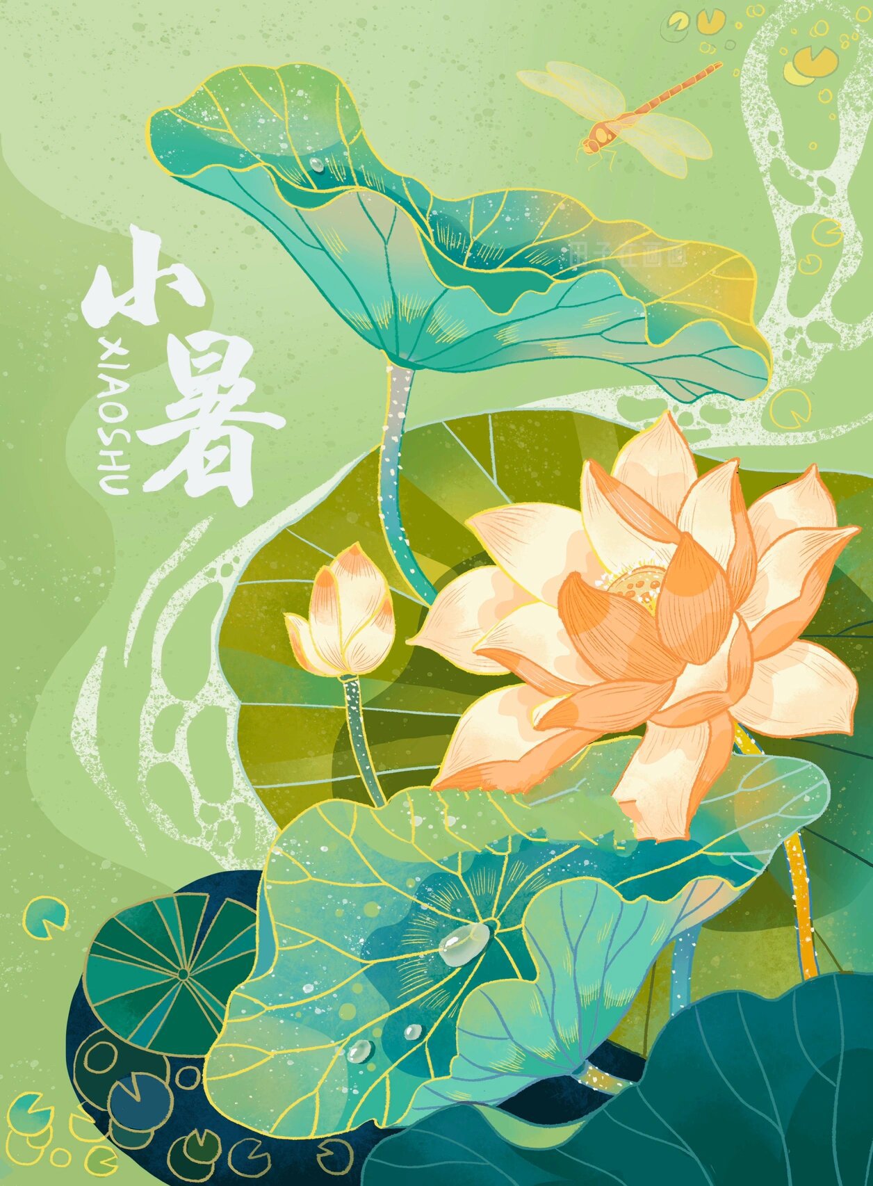 荷花荷叶 | 二十四节气小暑 | 国风步骤教程