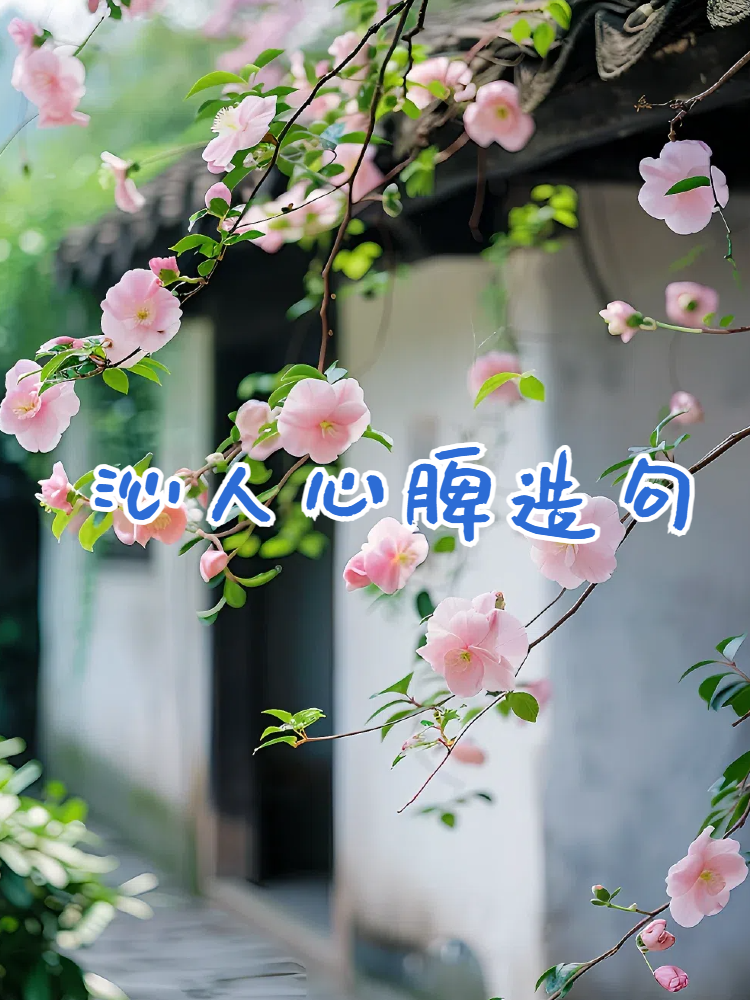 沁人心脾造句 今天,我将与大家分享一些能够让心灵得到滋润和愉悦的