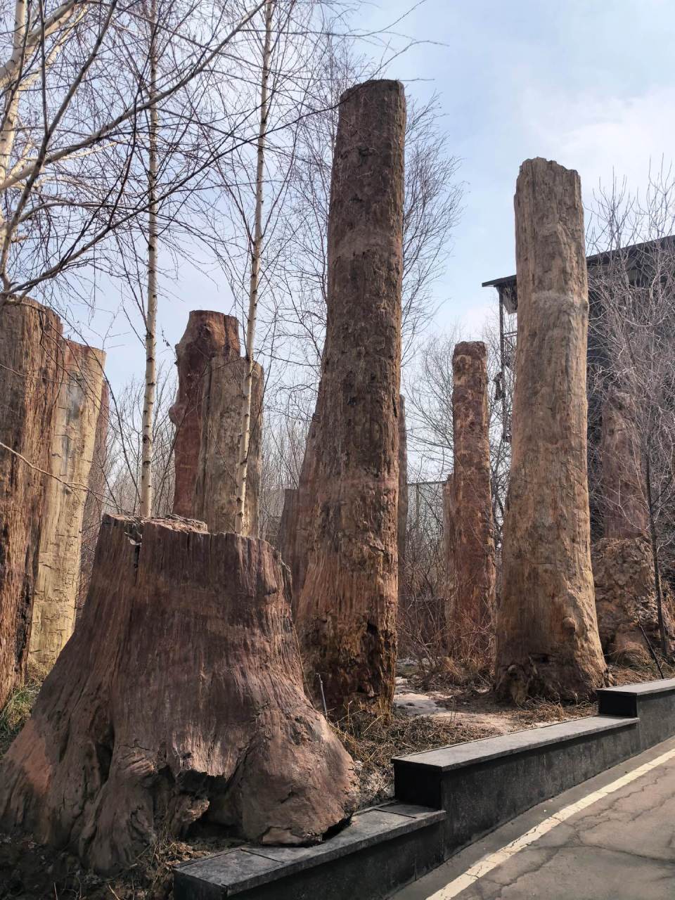 野马集团汗血宝马基地图片