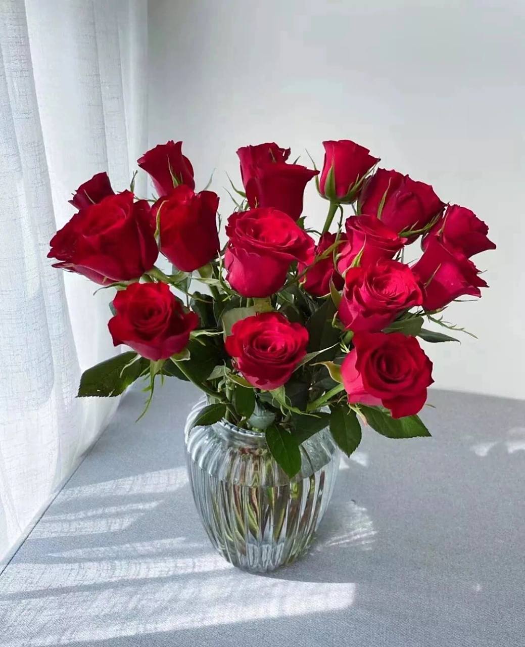 玫瑰品种介绍———高原红 花名:高原红  高原红优