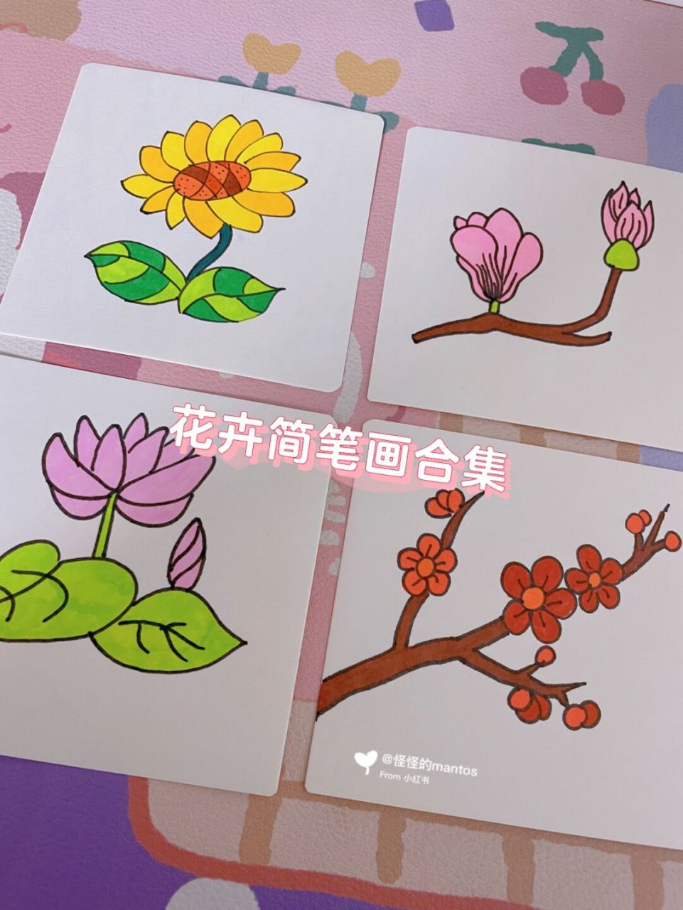 花卉简笔画教程|合集 78花卉简笔画合集,之前都是视频,现在拍成照片