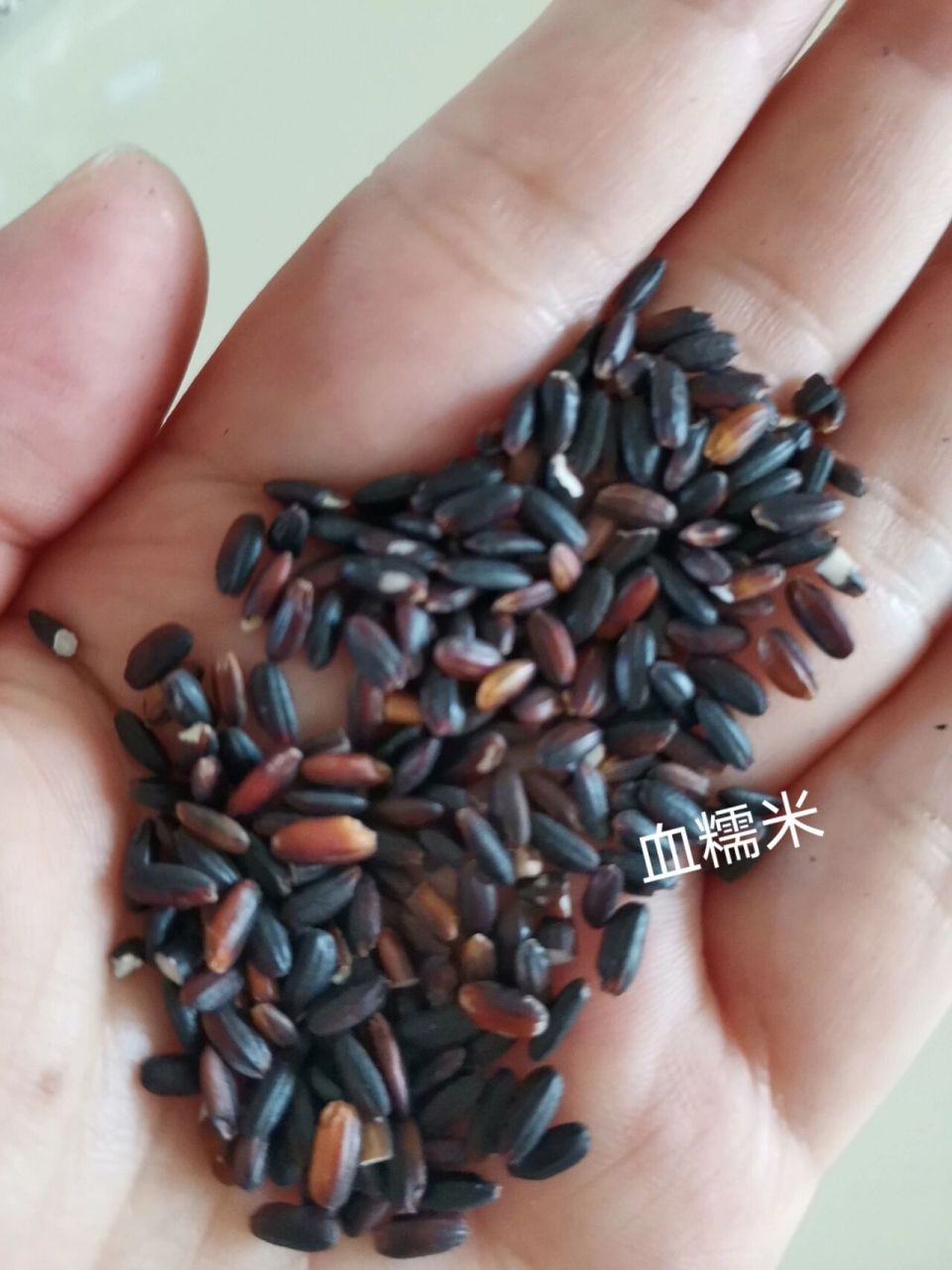 如何区分紫米,血糯米,黑米 图一是紫米又叫紫糯米表皮是紫黑色,水一泡