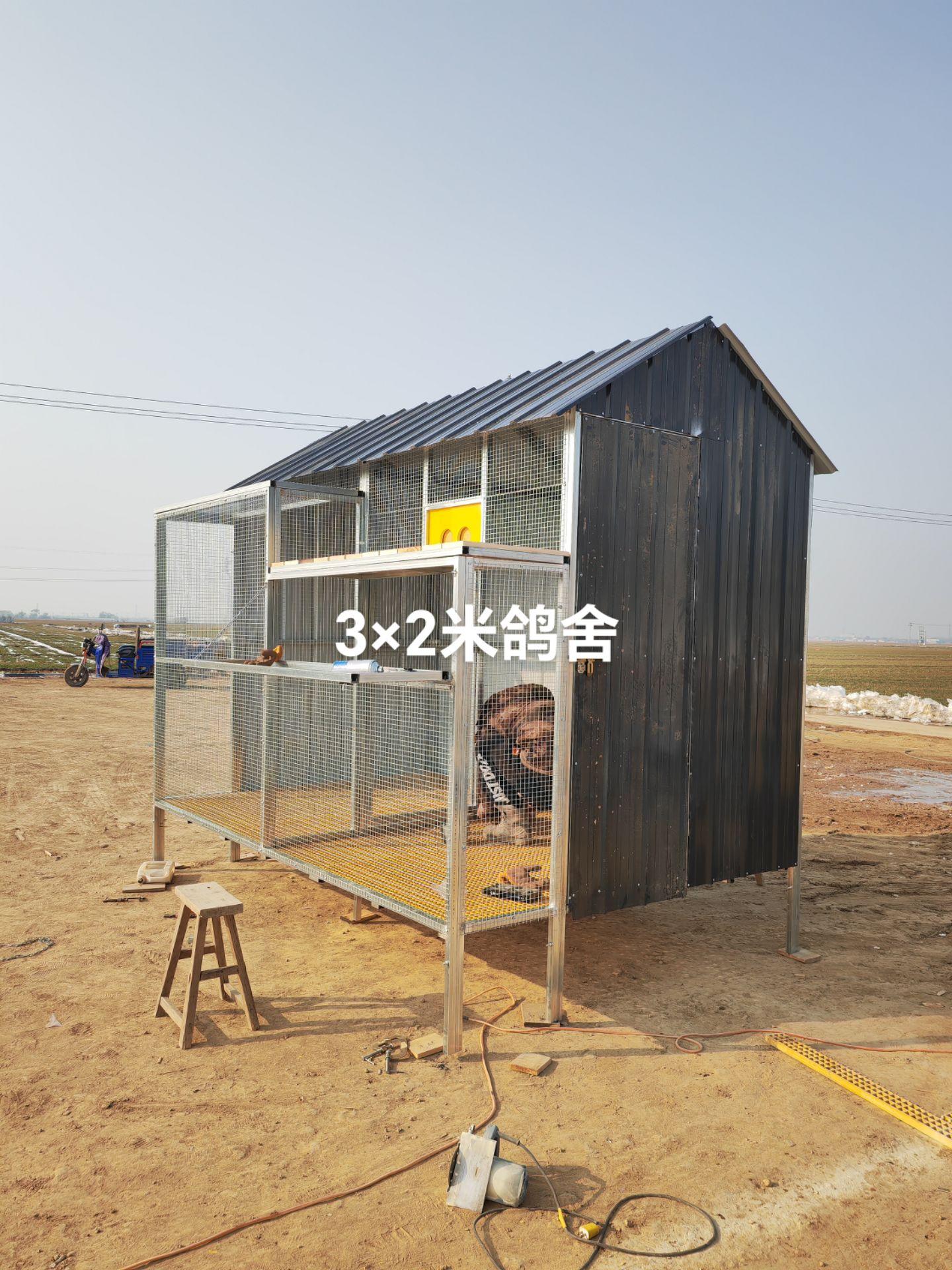 3×2米鸽舍种赛一体支持定做各种尺寸 专业的事交给专业的人来做更