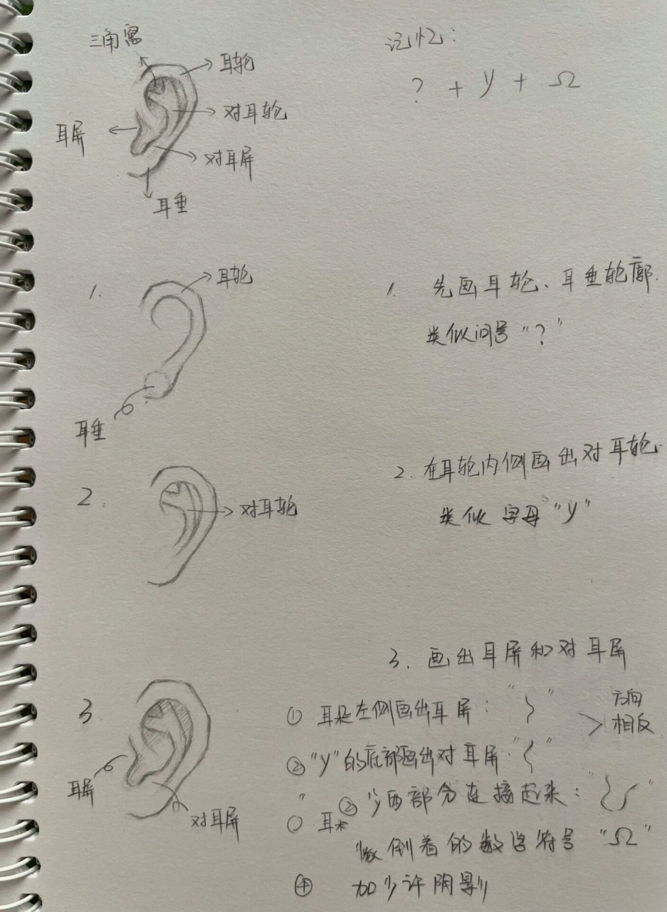 手绘教程(四) | 五官·耳朵画法 耳朵在画面中比较靠后,经常被头发
