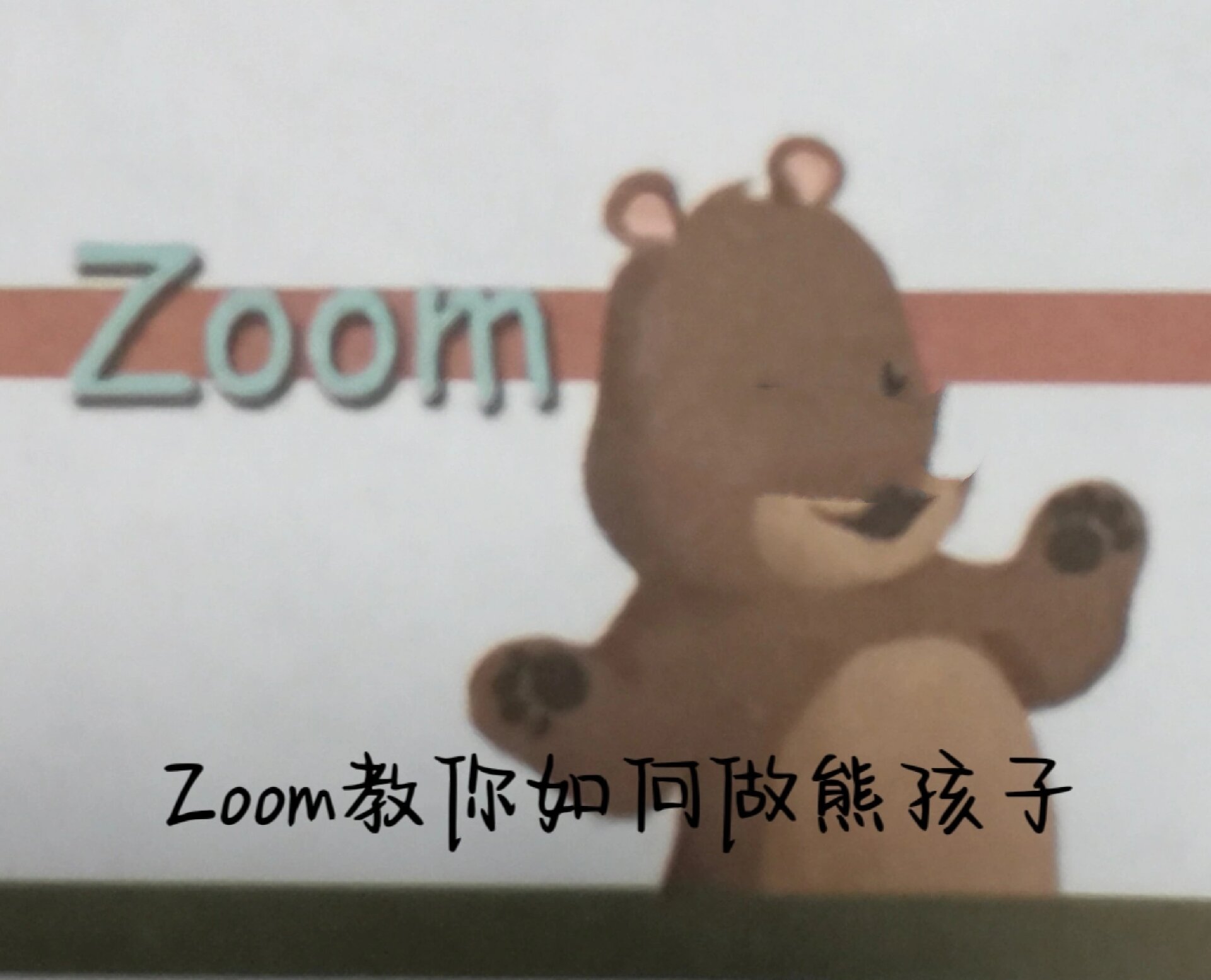 zoom教你如何做熊孩子