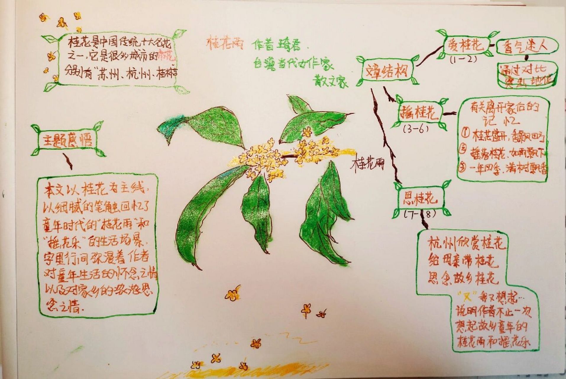 五年级上册语文桂花雨思维导图 小小孩童摇桂花,花瓣纷纷如雨下.