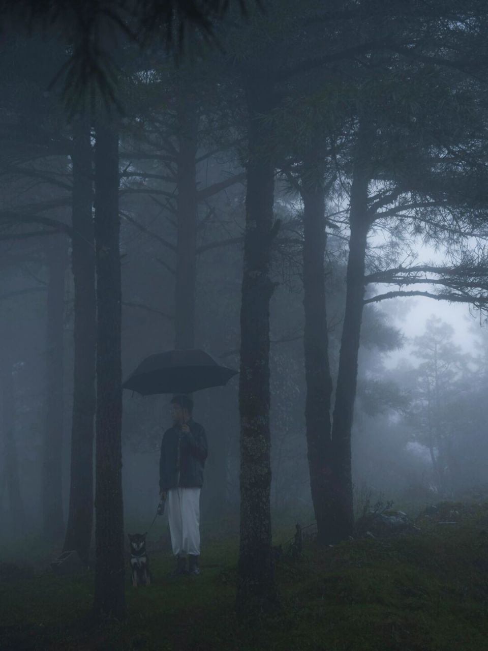 "光抓不住,雾总要散" 不要站在雾里 要看清自己 不要执着无意义的人和