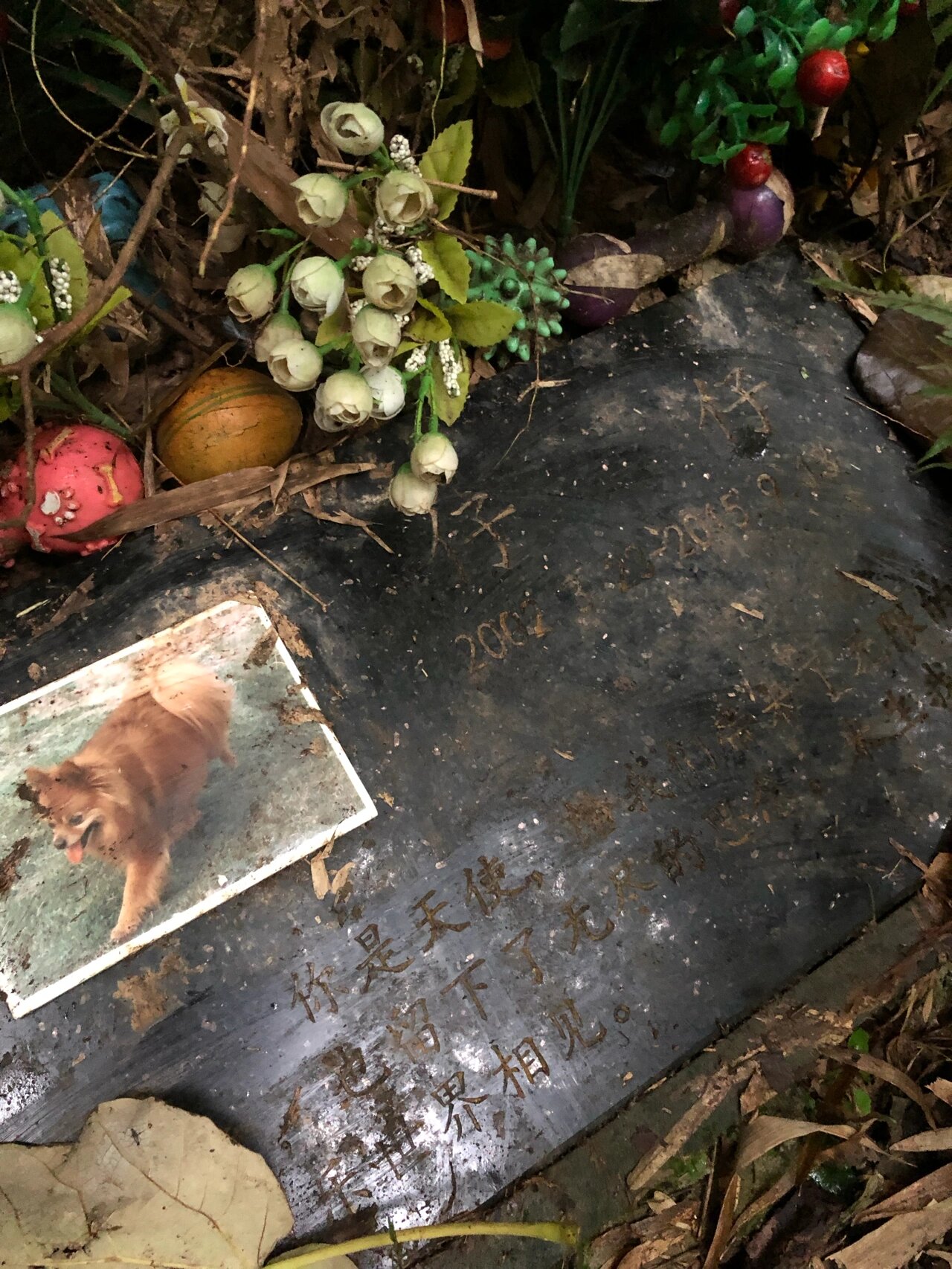 今天去了一个特殊的地方