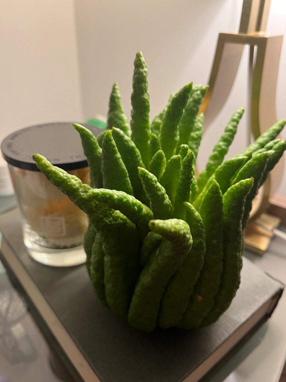 佛手柑|来感受一下佛手招财纳福的巨大能量