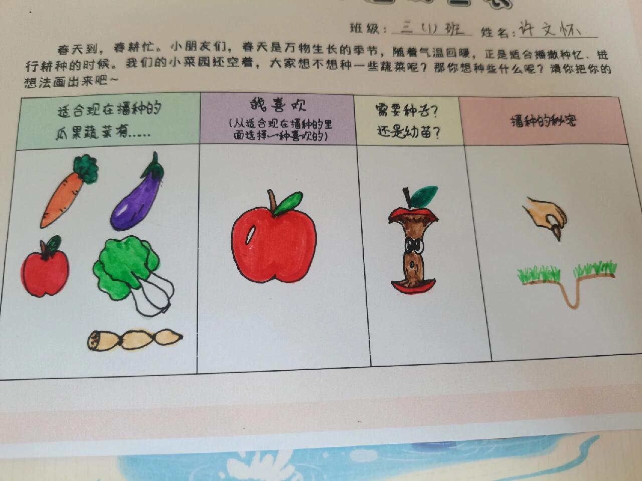 春季果蔬种植调查表