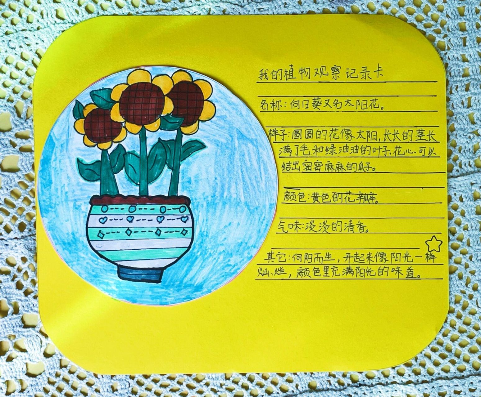 三年级植物卡制作