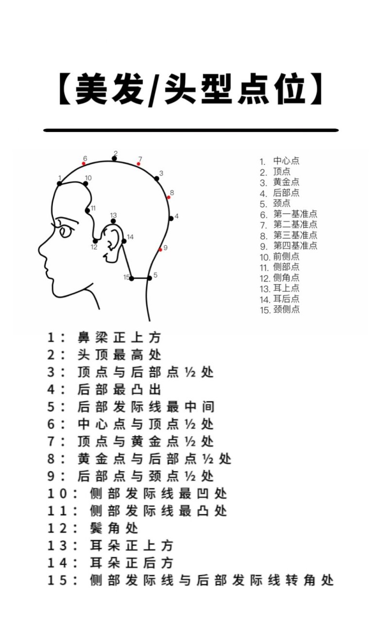 美发头型结构图怎么画图片