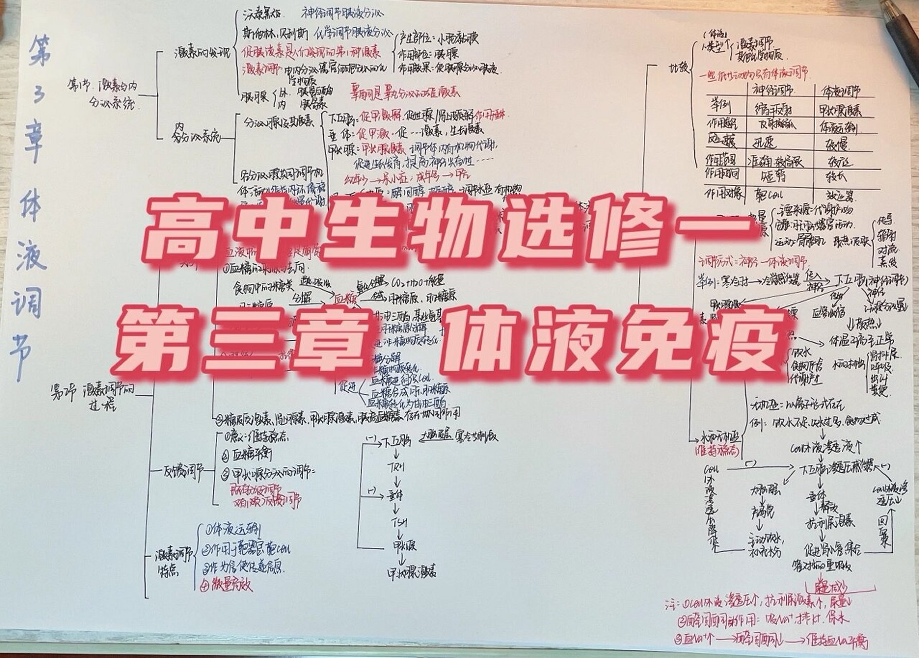 第三章体液调节思维图图片