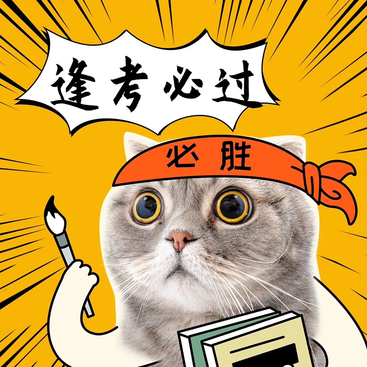 今天大家教资考试结果都如何呐～#逢考必过# #考试考试# #教资