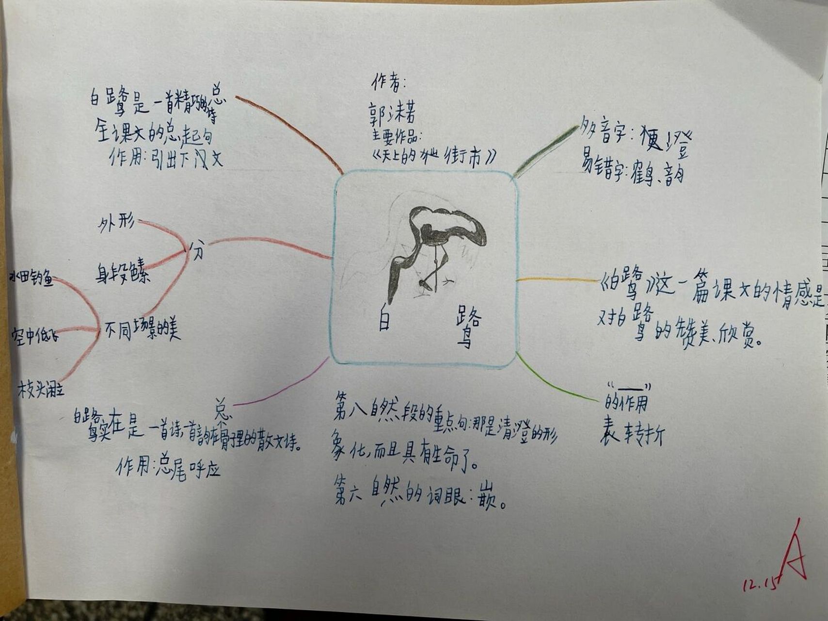 五年级上册复习 白鹭 思维导图