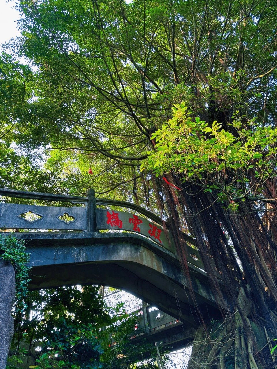 猴屿洞天岩walk      比较小,但是里面别有洞天,在狭窄的石缝里穿梭