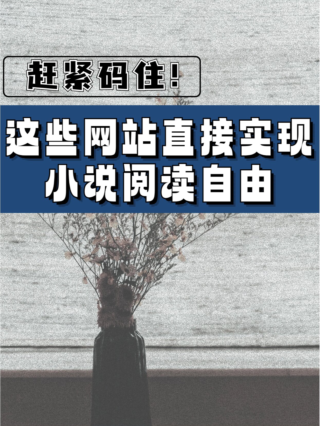 海棠搜书自由的小说阅读网,海棠搜书 自由的小说搜索网站下载 海棠搜书自由的小说阅读网,海棠搜书 自由的小说搜索网站下载