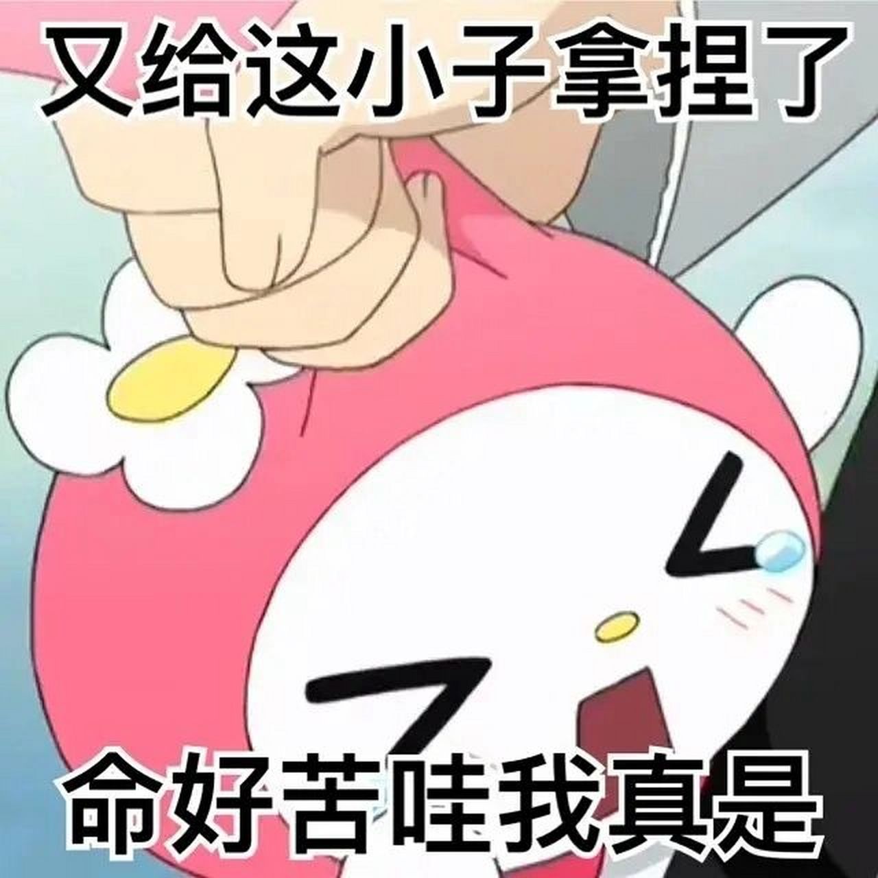 和他聊天感觉对事情的思考都有一定深度.