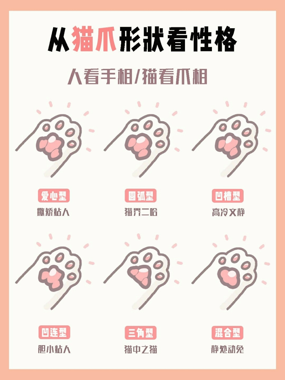 爱心型 猫爪垫尖端有内凹像是v字形.