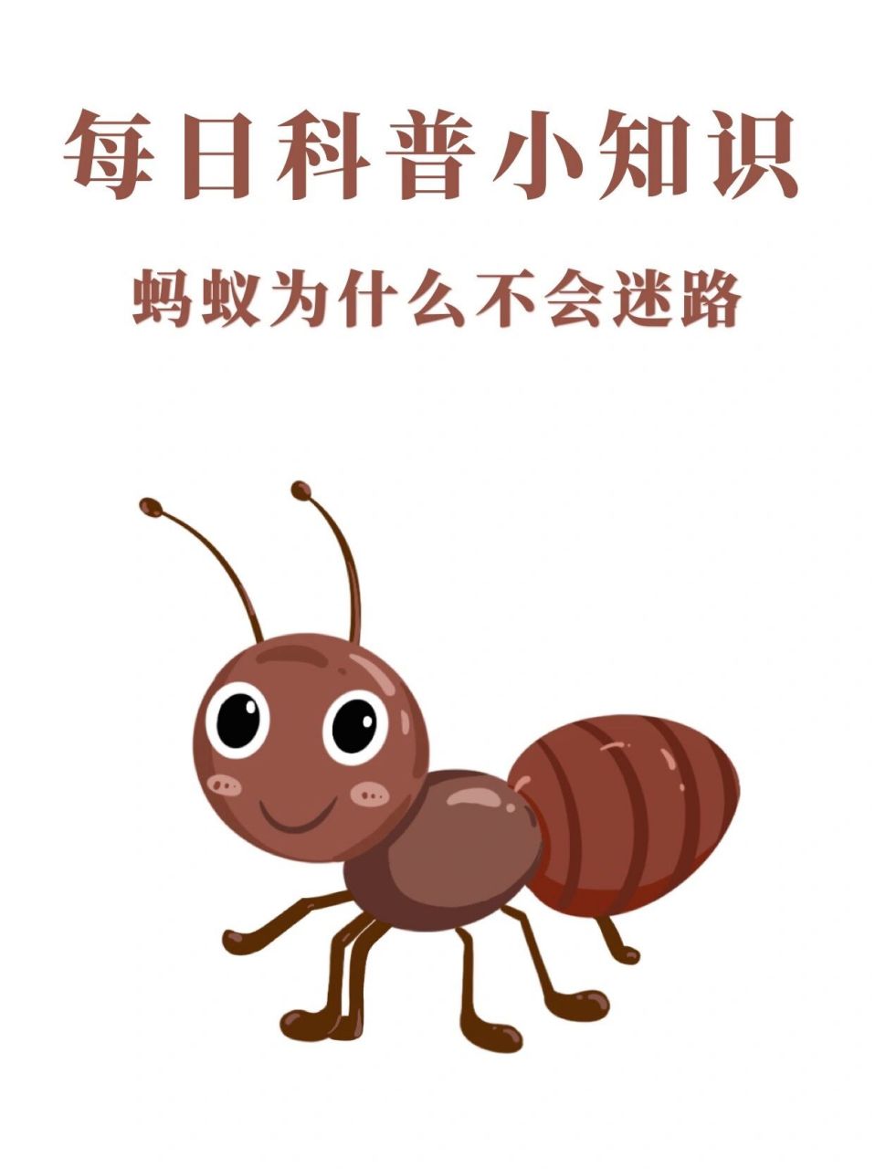 每日涨知识|蚂蚁为什么不会迷路 小小的蚂蚁有一套非常优秀的认路本领