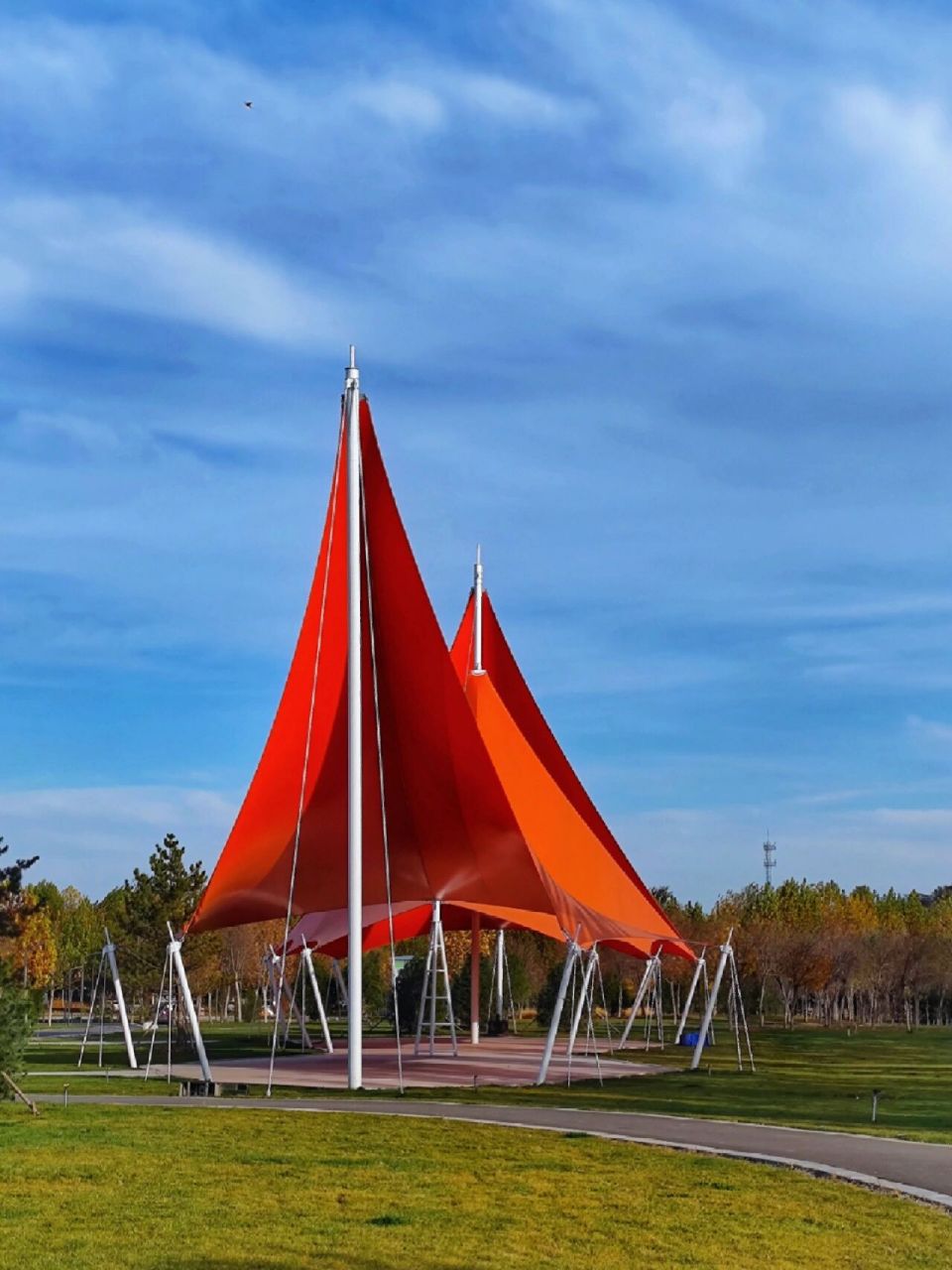 随已冬至,阳光见暖,石家庄岔河两岸的美景 一场冬雨过后,阳光照射的
