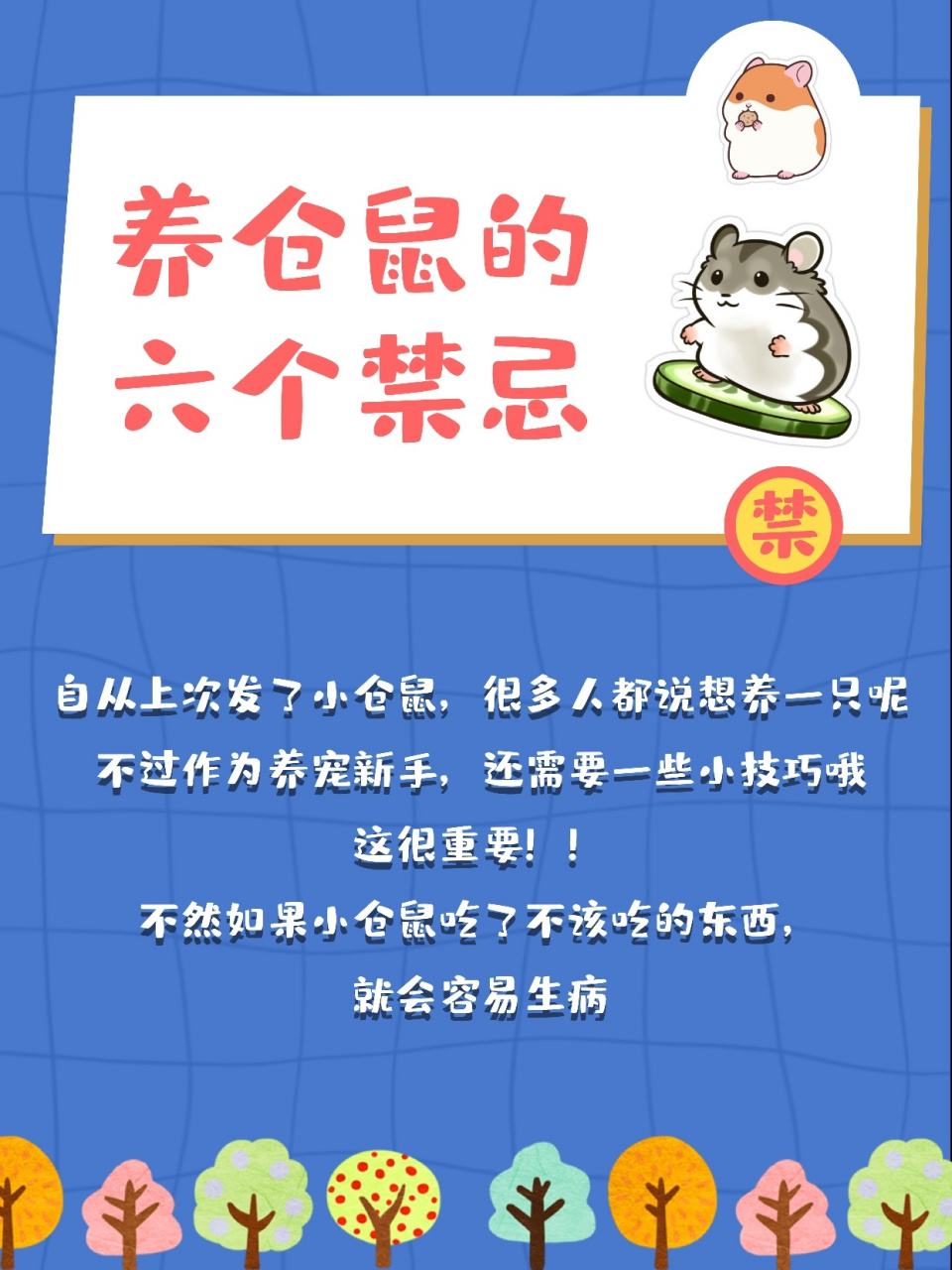 养仓鼠99的六个禁忌,新手铲屎官必知7575 自从上次发了小仓鼠