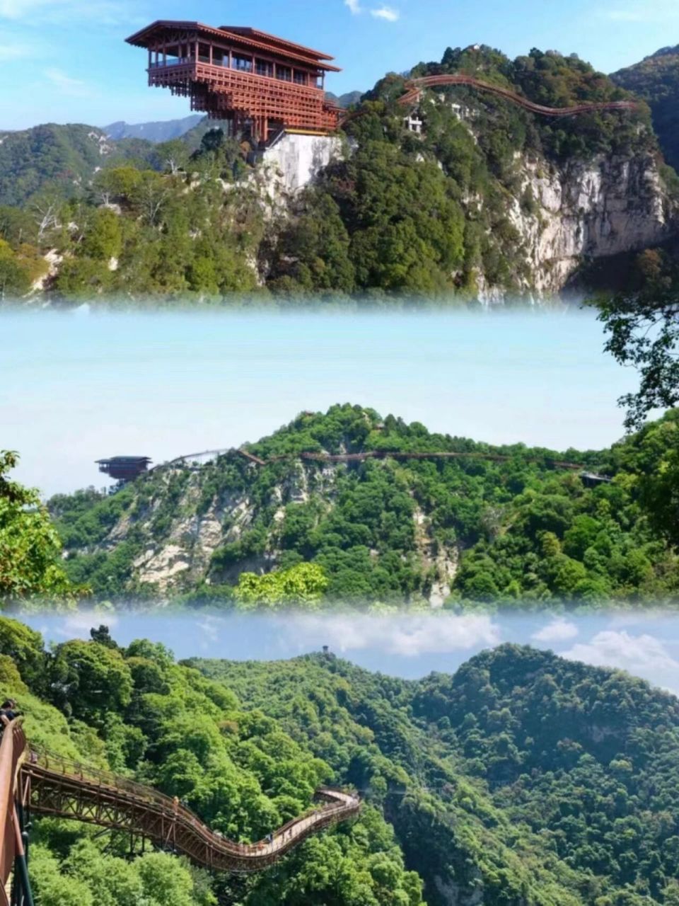 西安周边避暑推荐-渭南少华山国家森林公园 99关于少华山国家森林