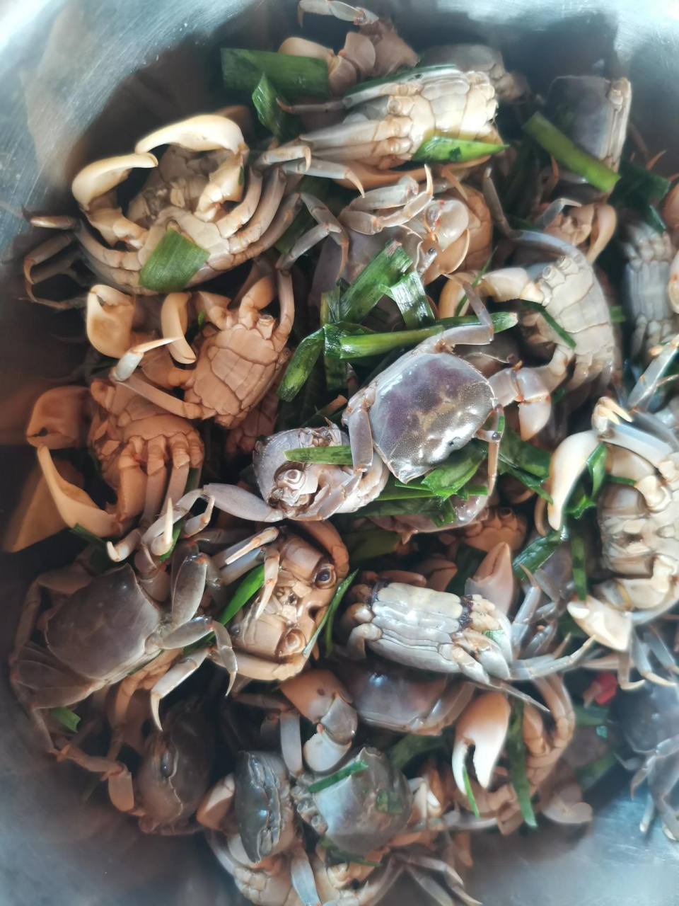 小时候,我经常到海边的草沟里去掏嘟噜蟹子,现在那个海边已经成了花园