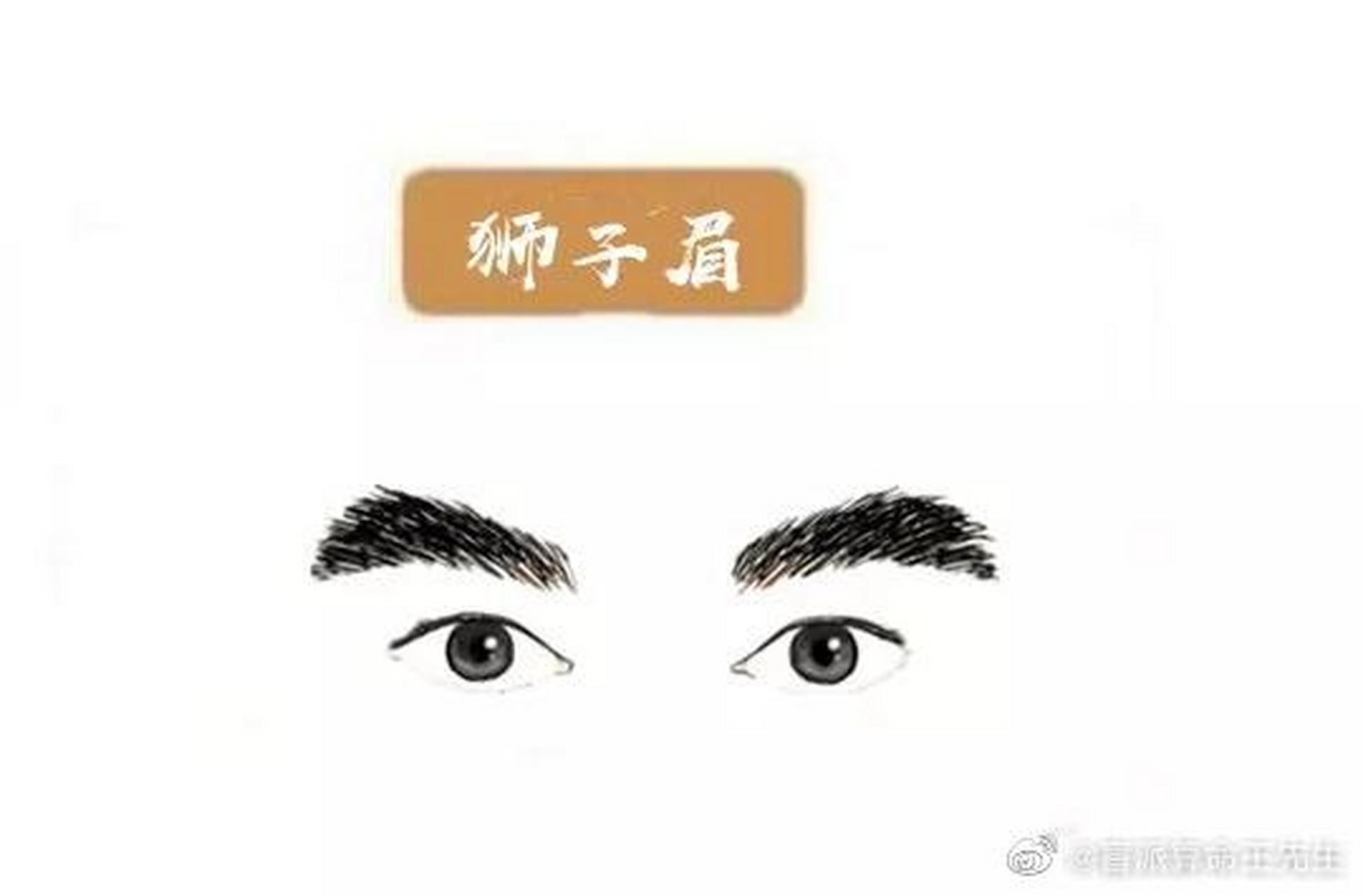 狮子眉的男人图片