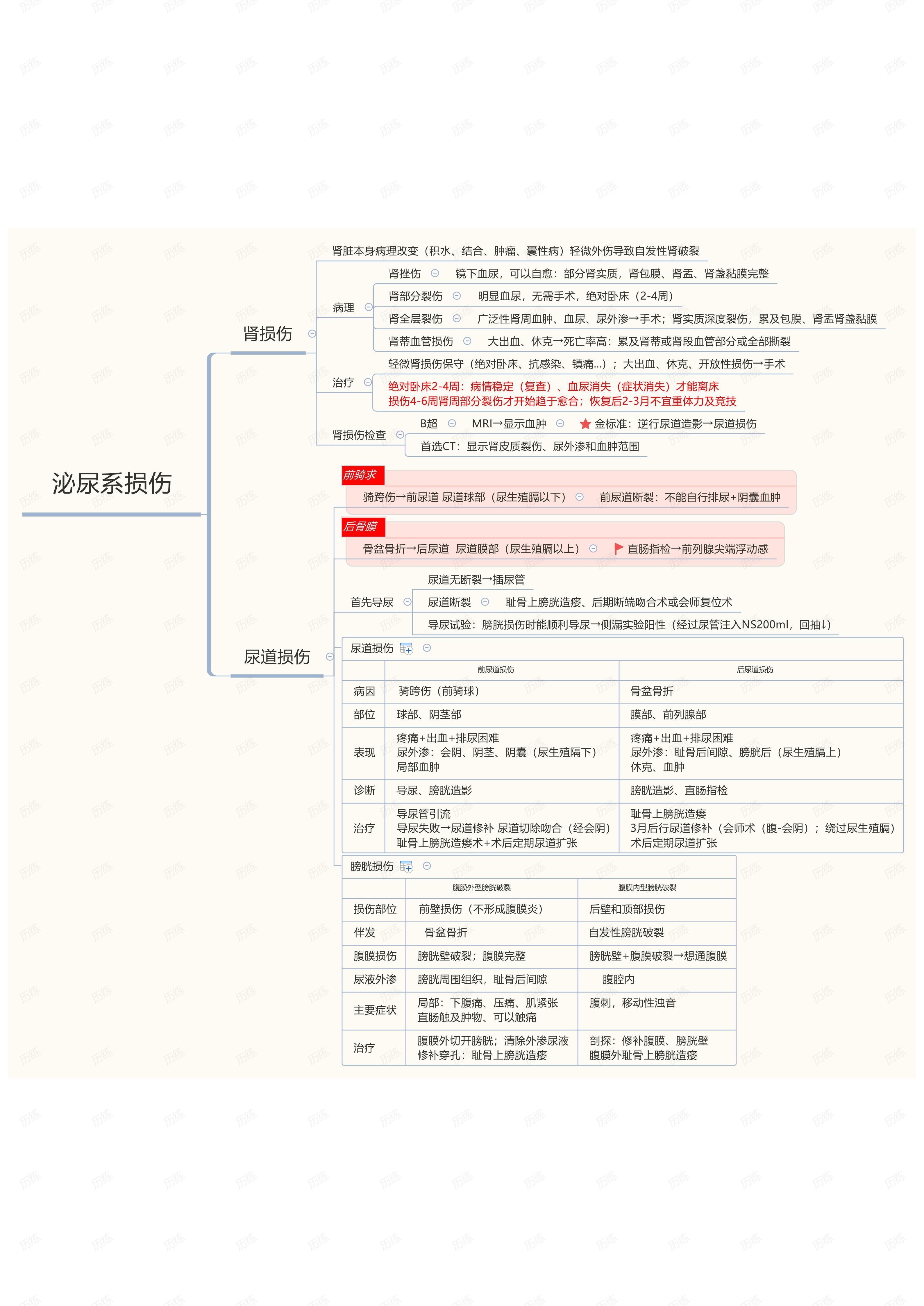 外科学泌尿系思维导图