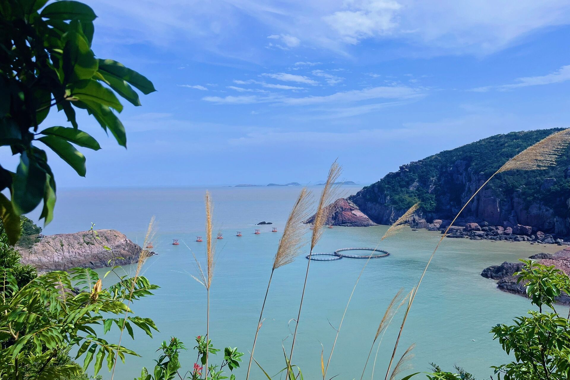 在温州超适合情侣去的鹿西岛|可赶海含攻略 整个岛所有景区免费,物价