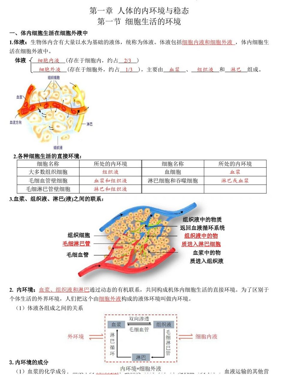 人体内环境成分图片