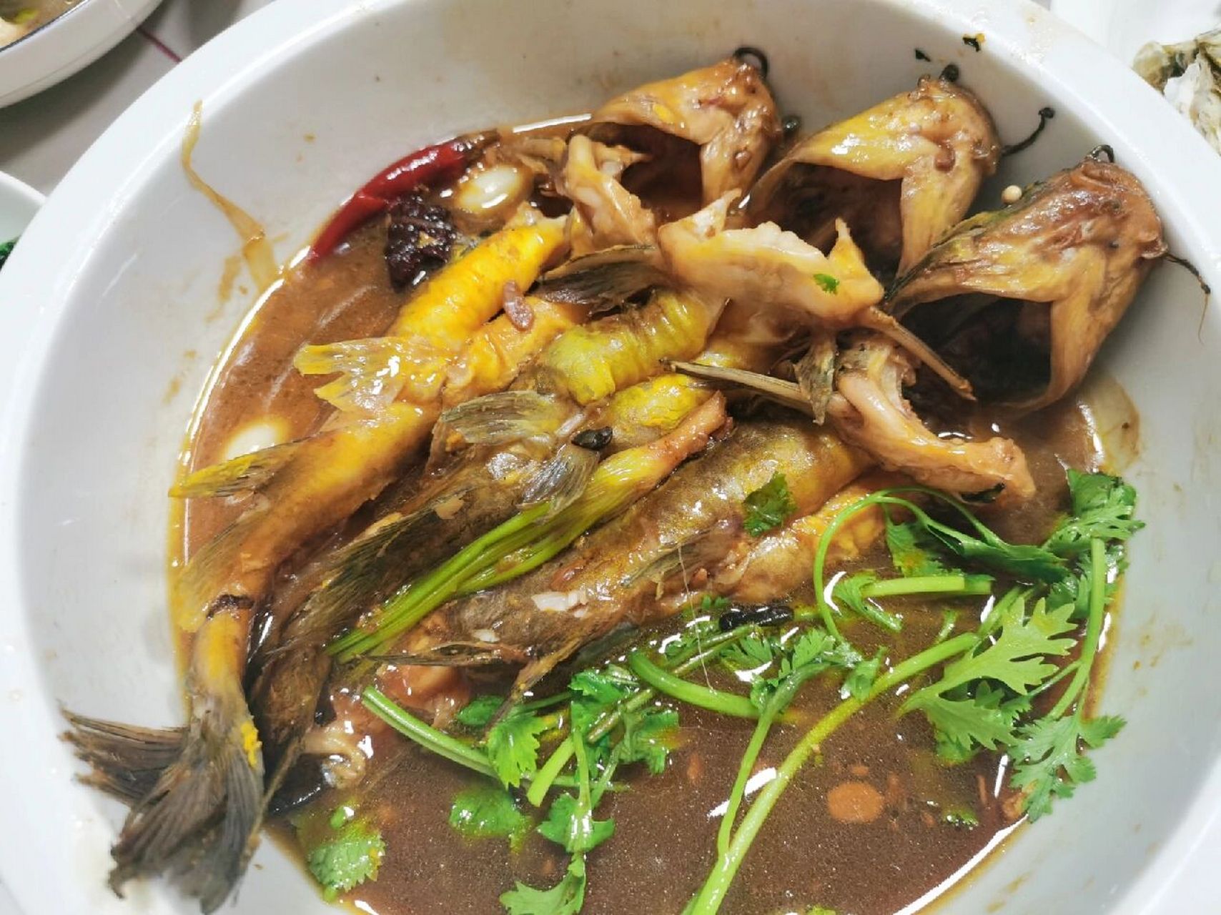 红烧戈雅鱼.好好吃