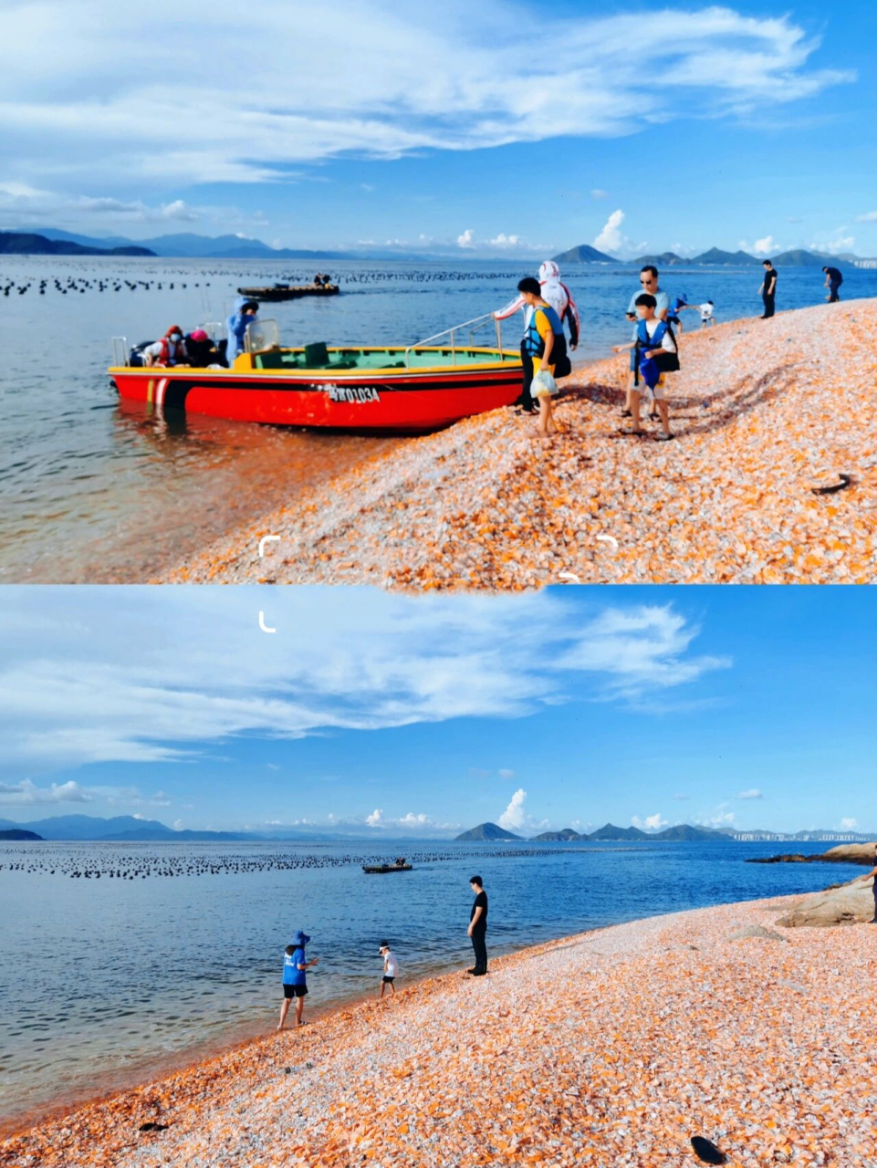 这才是汕尾第一网红海滩,遍地彩色贝壳92 汕尾的海滩千千万92不是