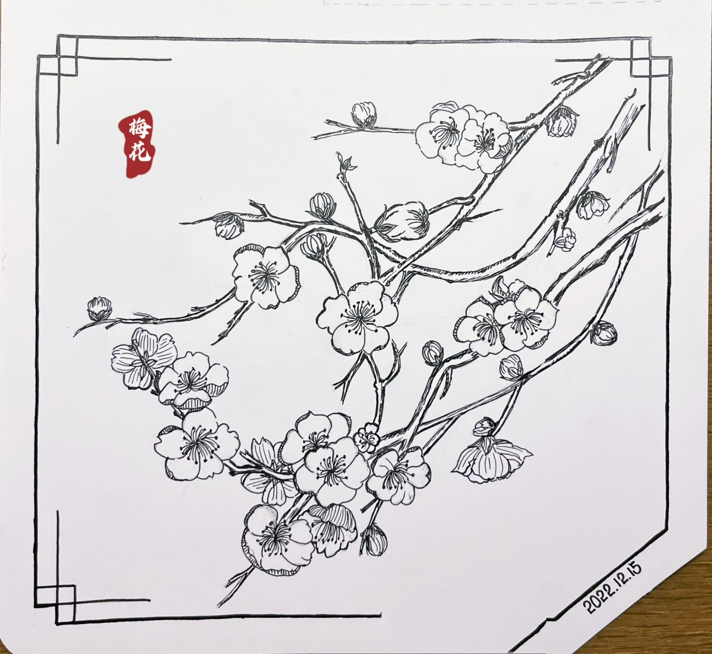 梅花简笔画 国画图片