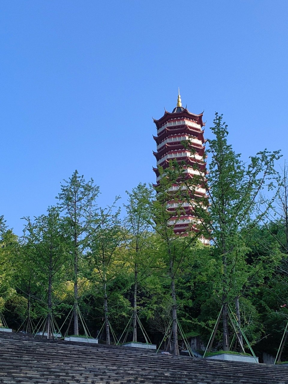 渠县文峰山 爬 之前:就一座塔有什么好看的 爬到一半: 背着我们修这么