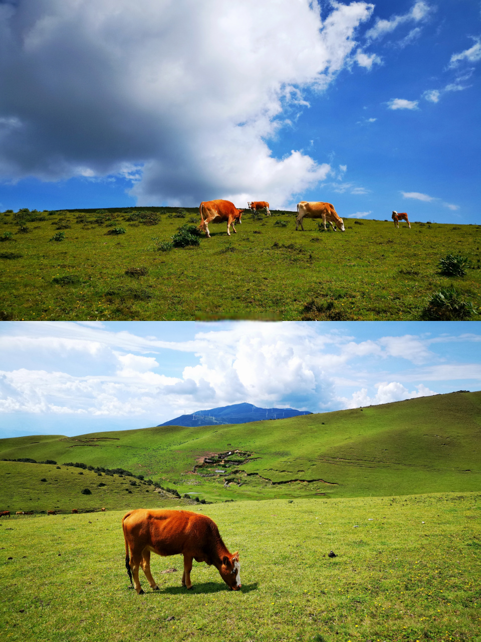 大理洱源鸟吊山,最美季节应该就是夏季和冬季.