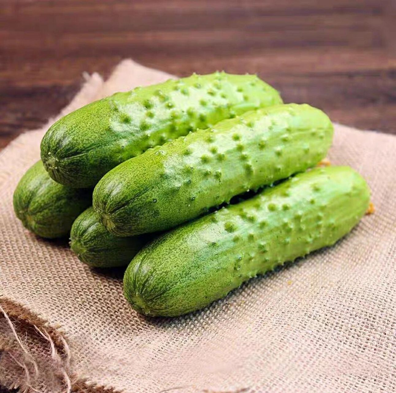 自己家大棚的旱黄瓜  自己家大棚种的旱黄瓜,顶花带刺的,村里的农民