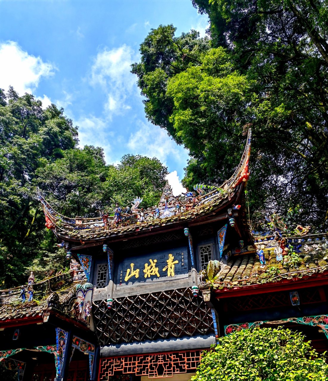 伟大的网友没骗我,青城山前山看这一篇就够 前山还是后山纠结了好久