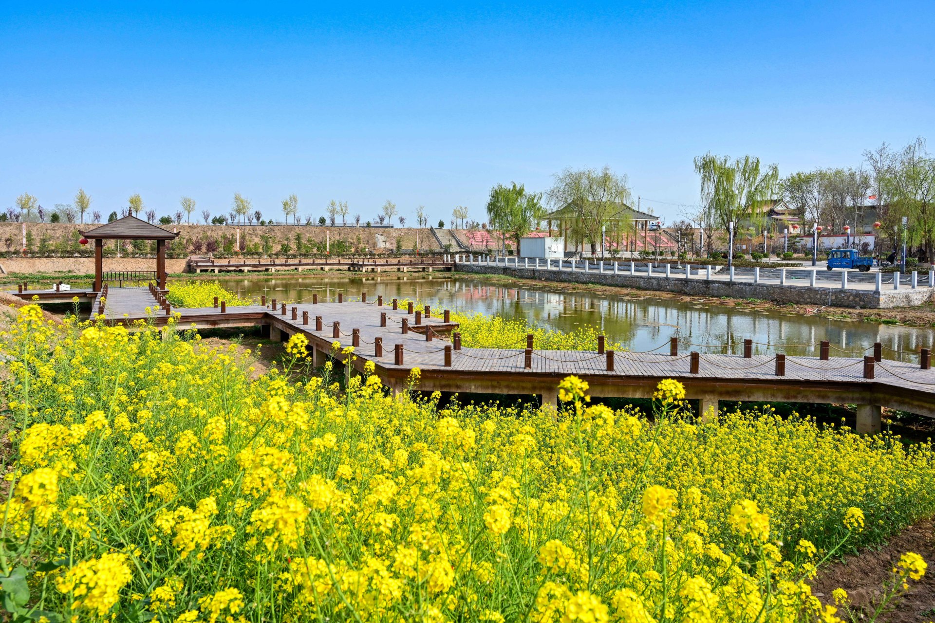 【淇县村规民约"约"出和美乡村新路径】夏日风起,漫步在淇县高村镇思