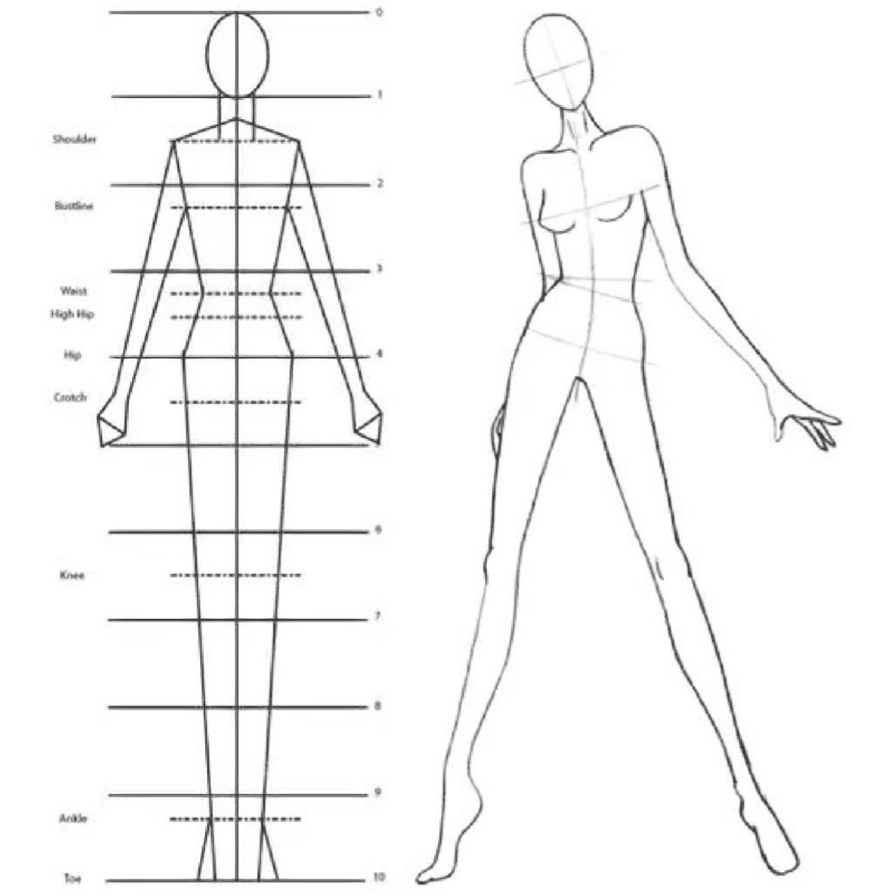 本次收录的300张精选人体走秀线稿图,一手资源,适合临摹,甚至