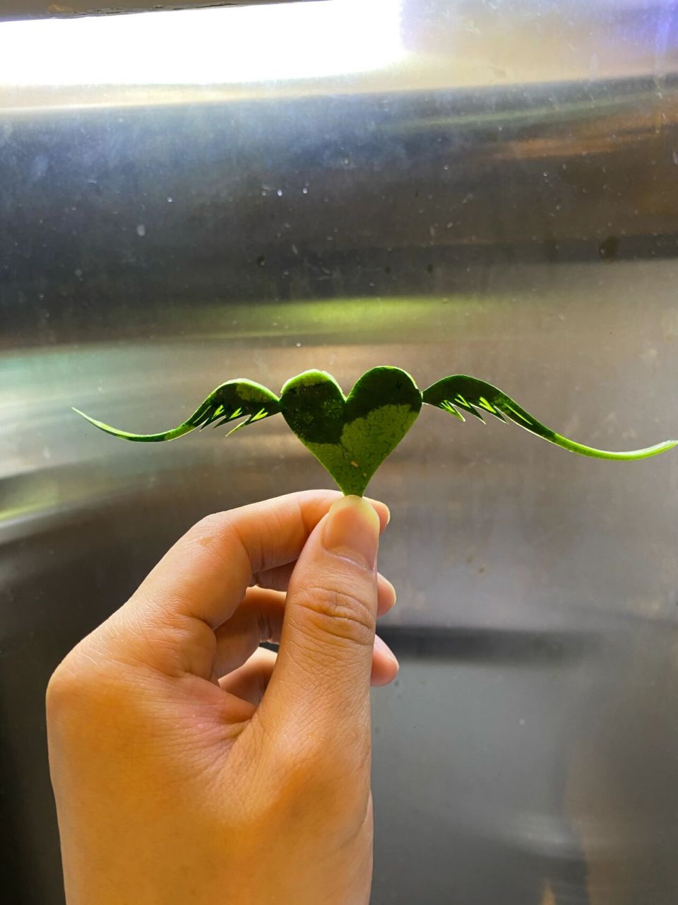 西瓜皮雕刻 这算不算失传已久的技能?90后和00年后的有多少人见过?