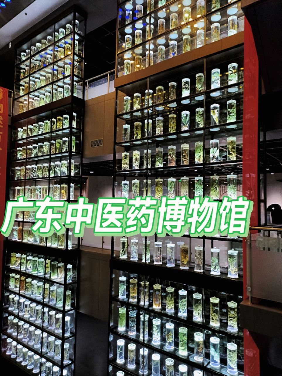 广东中医药博物馆(一人游远离人群好去处) 地点:广州中医药大学里