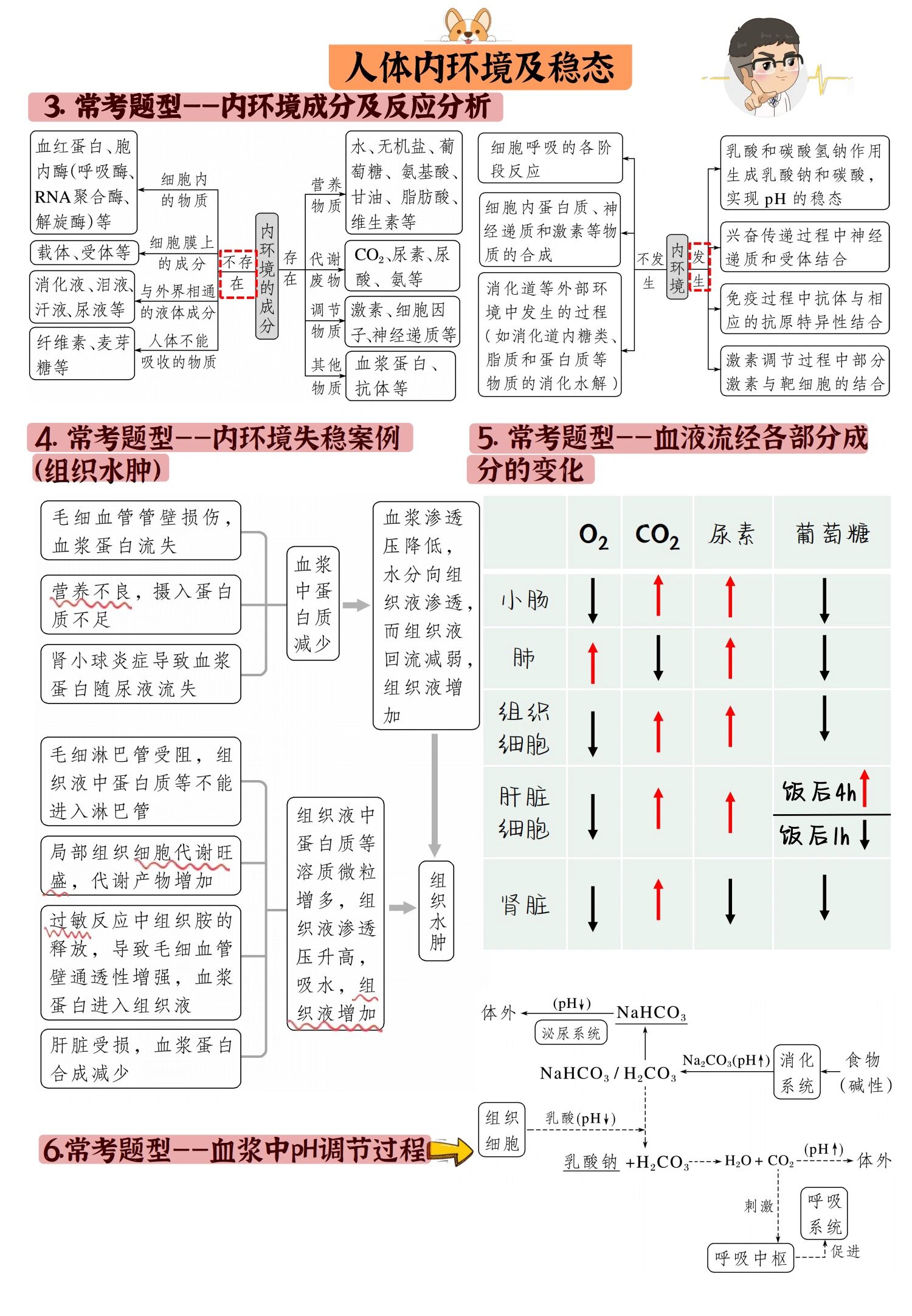 内环境的理化性质图片