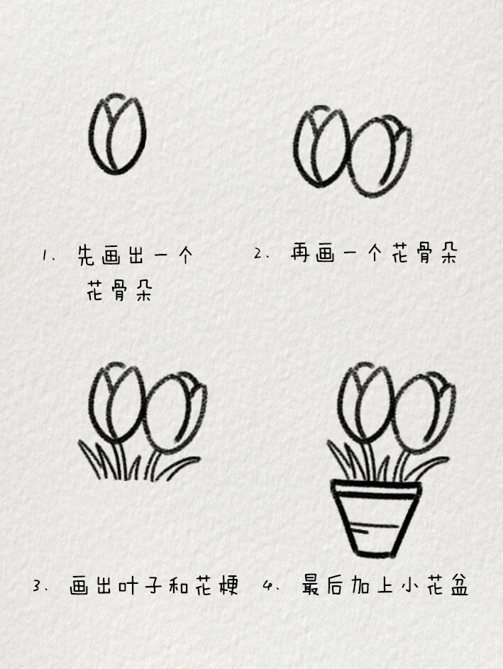 郁金香93简笔画