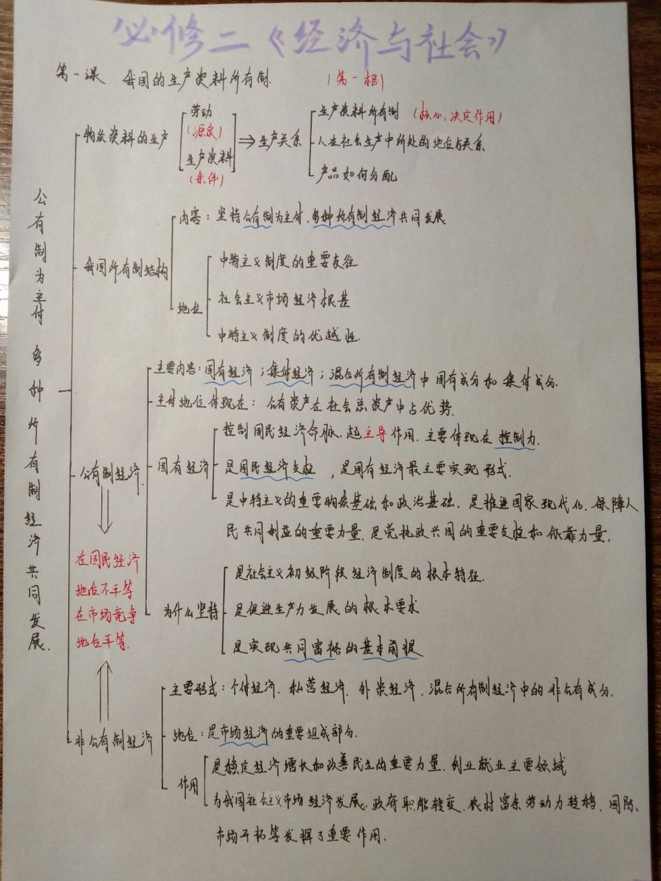 高中政治思维导图简单图片